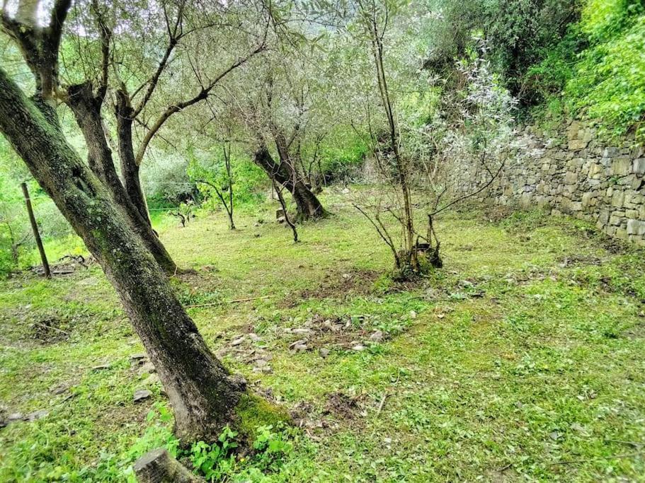 Apartment Olivari - Apt Il Melograno