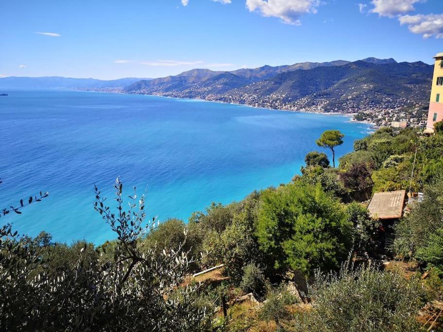 Apartment Olivari - Apt Il Melograno Camogli