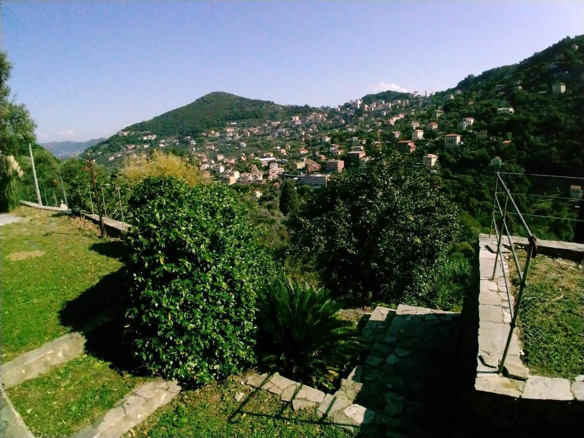 Apartment Olivari - Apt Il Melograno Camogli